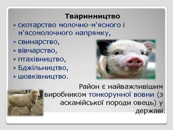 Тваринництво скотарство молочно-м'ясного і м'ясомолочного напрямку, свинарство, вівчарство, птахівництво, Бджільництво, шовківництво. Район є найважливішим