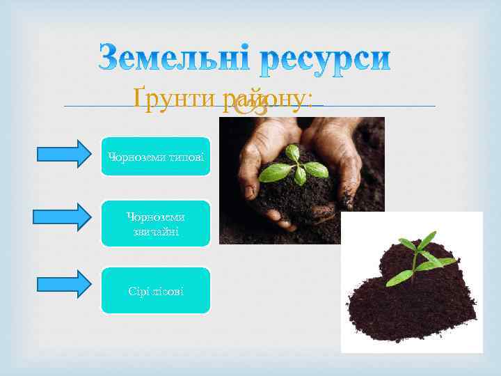 Ґрунти району: Чорноземи типові Чорноземи звичайні Сірі лісові 