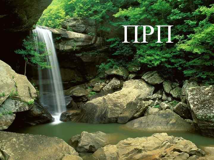 ПРП 