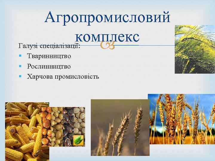 Агропромисловий комплекс Галузі спеціалізації: § Тваринництво § Рослинництво § Харчова промисловість 