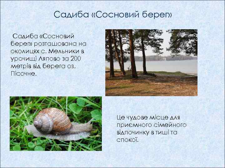 Садиба «Сосновий берег» розташована на околицях с. Мельники в урочищі Ляпово за 200 метрів