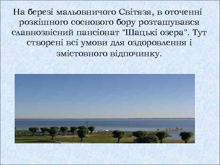 На березі мальовничого Світязя, в оточенні розкішного соснового бору розташувався славнозвісний пансіонат "Шацькі озера".