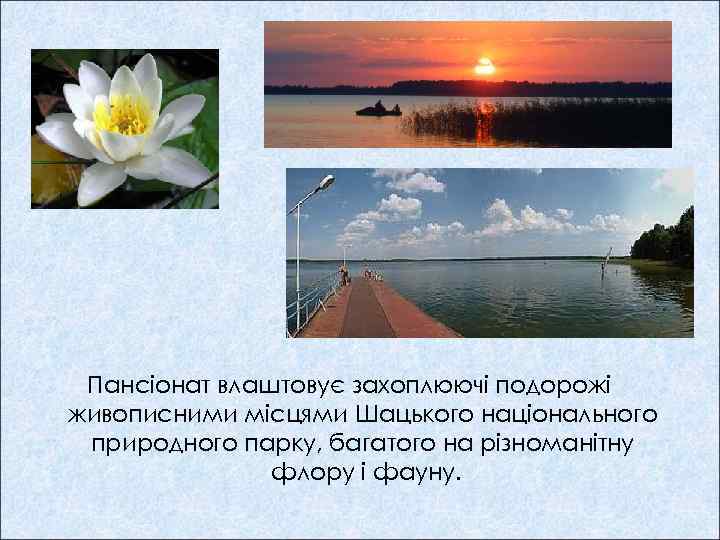Пансіонат влаштовує захоплюючі подорожі живописними місцями Шацького національного природного парку, багатого на різноманітну флору