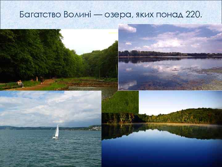Багатство Волині — озера, яких понад 220. 