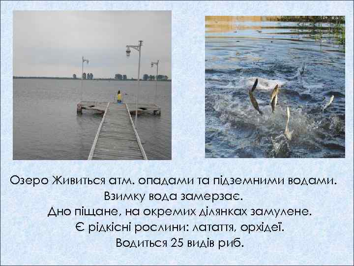 Озеро Живиться атм. опадами та підземними водами. Взимку вода замерзає. Дно піщане, на окремих