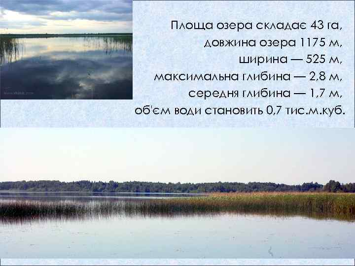 Площа озера складає 43 га, довжина озера 1175 м, ширина — 525 м, максимальна