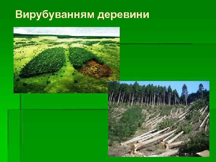 Вирубуванням деревини 