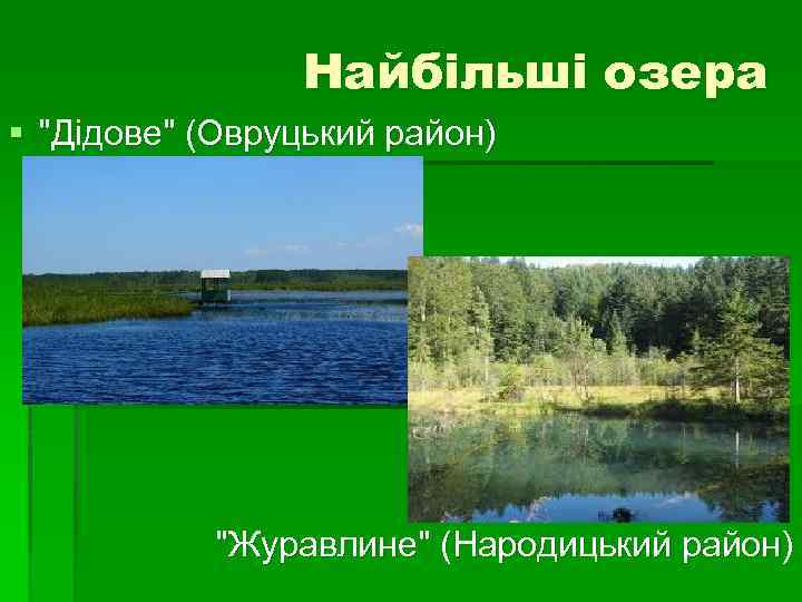 Найбільші озера § "Дідове" (Овруцький район) "Журавлине" (Народицький район) 