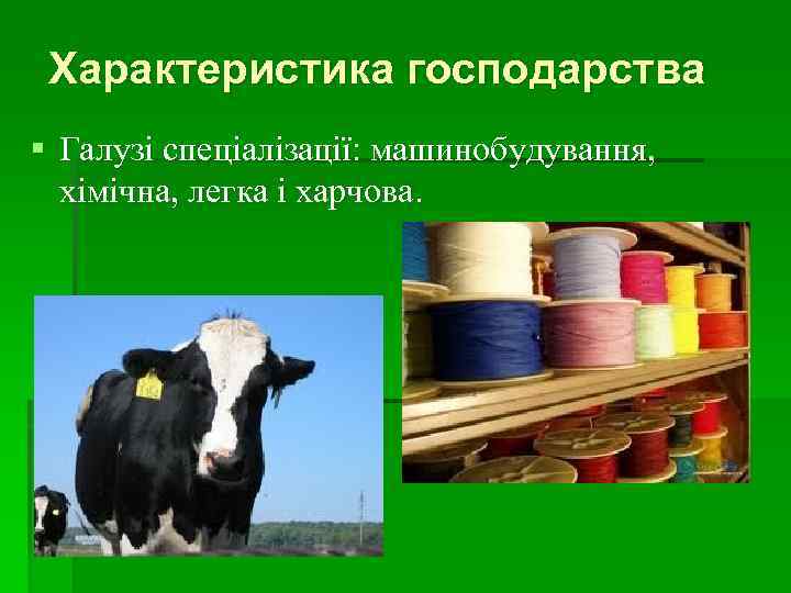 Характеристика господарства § Галузі спеціалізації: машинобудування, хімічна, легка і харчова. 