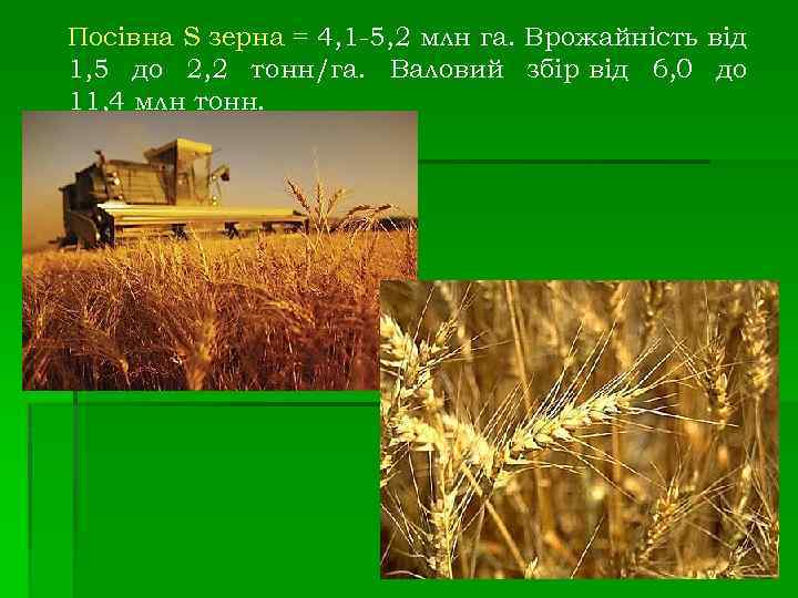 Посівна S зерна = 4, 1 -5, 2 млн га. Врожайність від 1, 5
