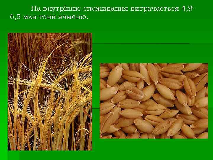 На внутрішнє споживання витрачається 4, 96, 5 млн тонн ячменю. 