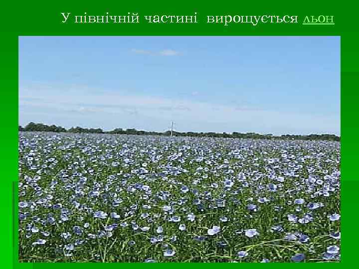 У північній частині вирощується льон 