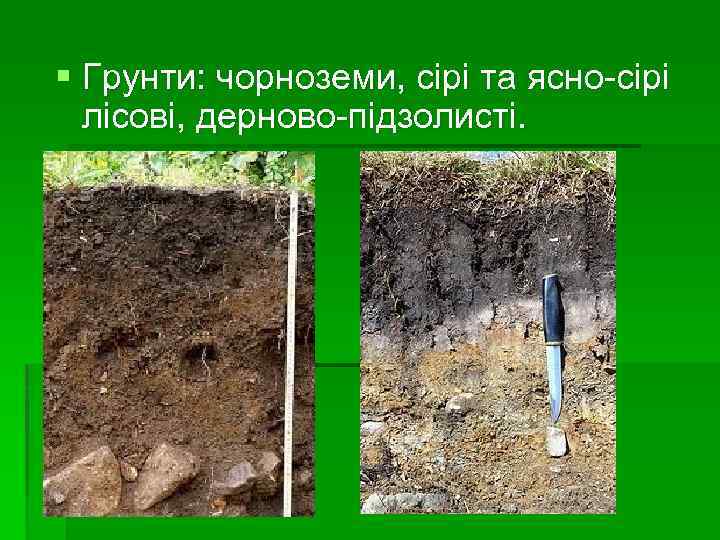 § Грунти: чорноземи, сірі та ясно-сірі лісові, дерново-підзолисті. 