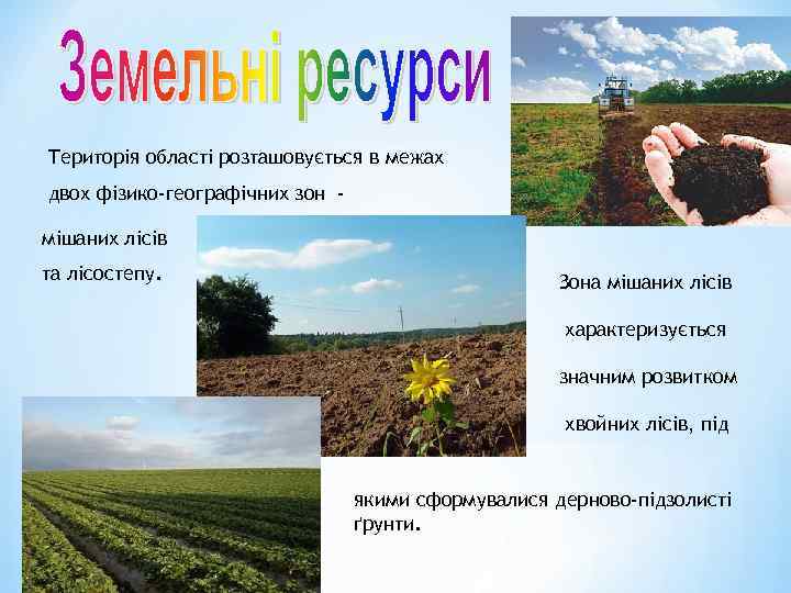 Територія області розташовується в межах двох фізико-географічних зон мішаних лісів та лісостепу. Зона мішаних