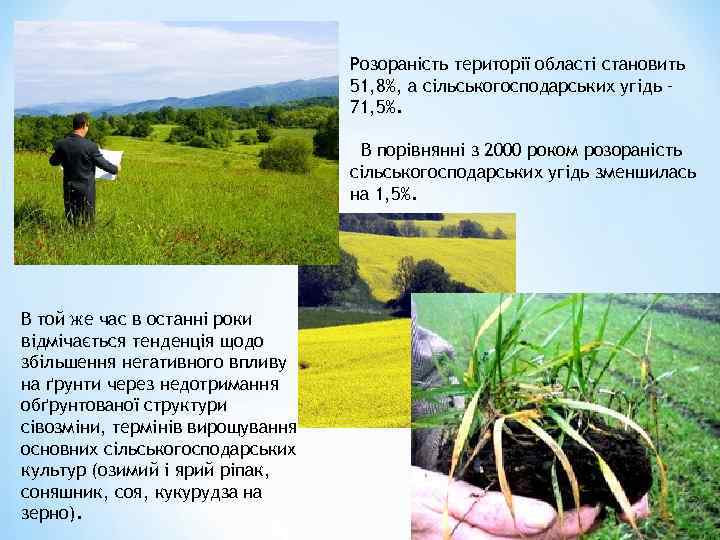 Розораність території області становить 51, 8%, а сільськогосподарських угідь – 71, 5%. В порівнянні