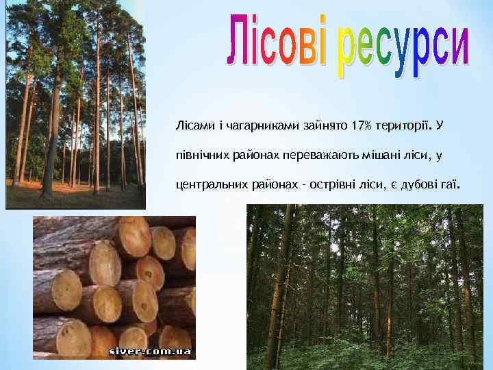 Лісами і чагарниками зайнято 17% території. У північних районах переважають мішані ліси, у центральних