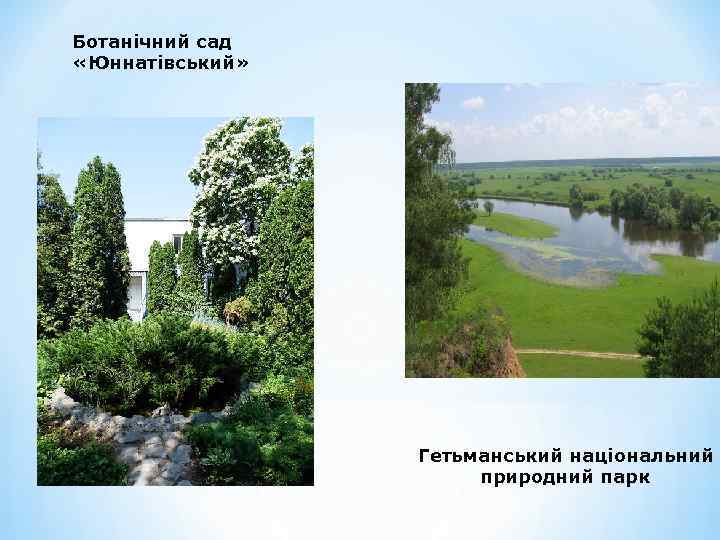 Ботанічний сад «Юннатівський» Гетьманський національний природний парк 