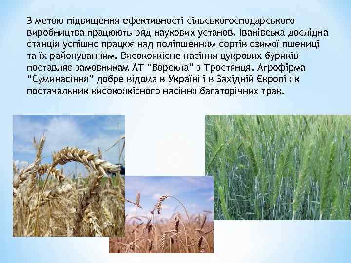 З метою підвищення ефективності сільськогосподарського виробництва працюють ряд наукових установ. Іванівська дослідна станція успішно