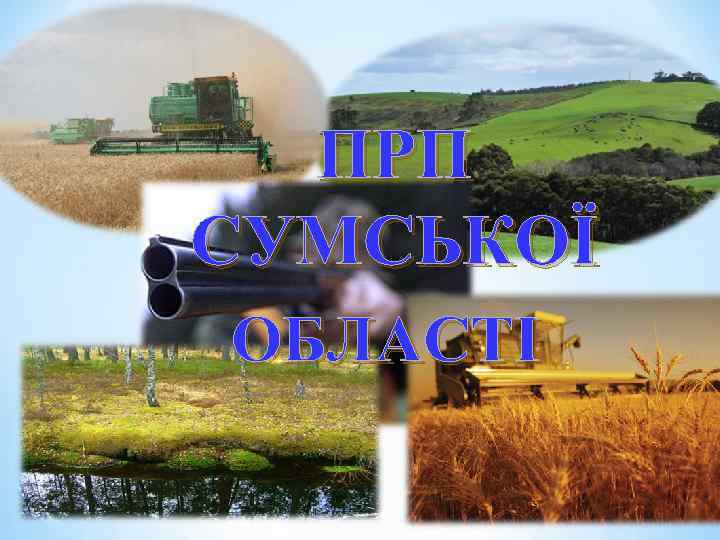 ПРП СУМСЬКОЇ ОБЛАСТІ 