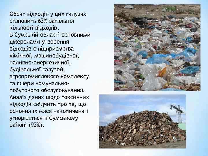 Обсяг відходів у цих галузях становить 63% загальної кількості відходів. В Сумській області основними