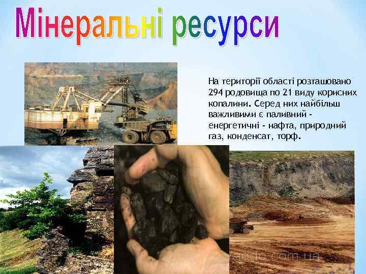 На території області розташовано 294 родовища по 21 виду корисних копалини. Серед них найбільш