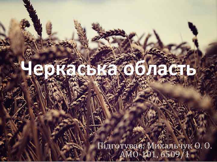 Черкаська область Підготував: Михальчук О. О. АМО-101, 6509/1 