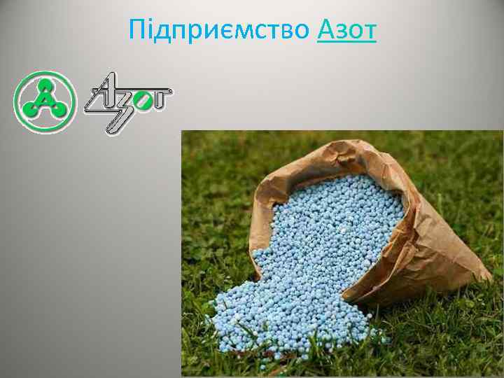 Підприємство Азот 