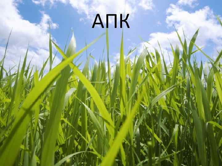 АПК 
