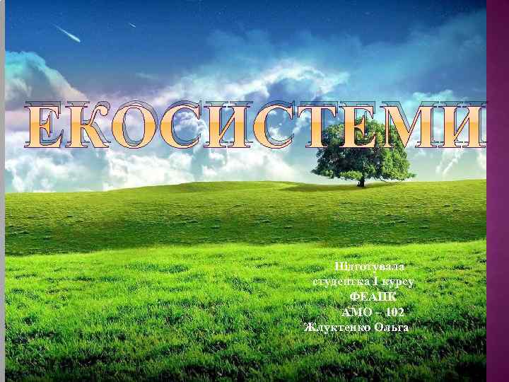 ЕКОСИСТЕМИ Підготувала студентка І курсу ФЕАПК АМО – 102 Жлуктенко Ольга 