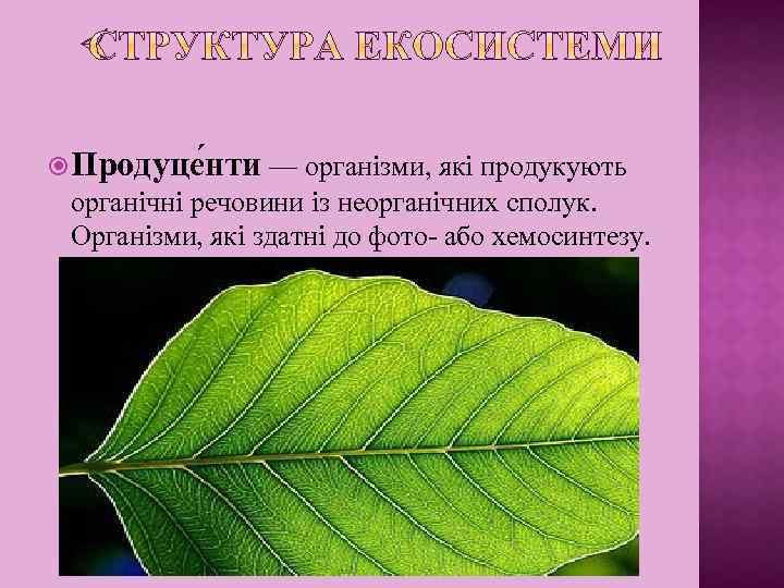 Продуце нти — організми, які продукують органічні речовини із неорганічних сполук. Організми, які