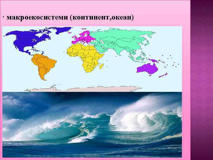 · макроекосистеми (континент, океан) 