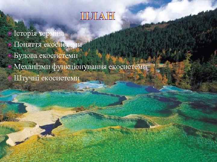  Історія терміна Поняття екосистеми Будова екосистеми Механізми функціонування екосистеми Штучні екосистеми 