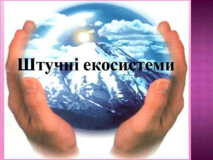 Штучні екосистеми 