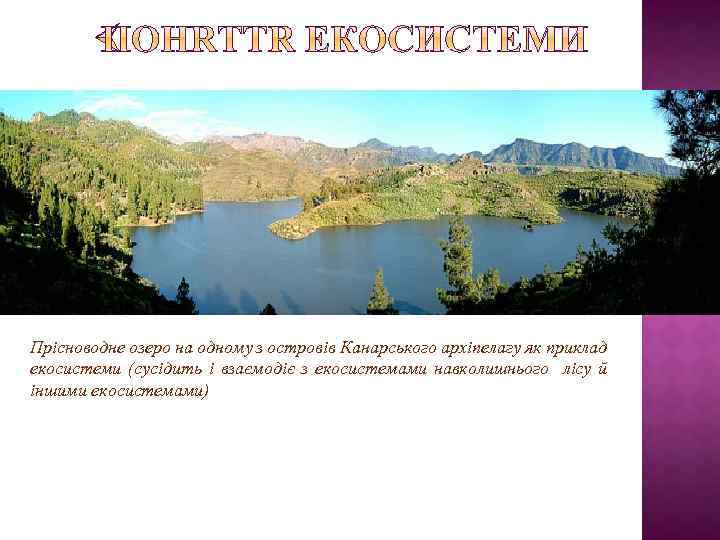 Прісноводне озеро на одному з островів Канарського архіпелагу як приклад екосистеми (сусідить і взаємодіє