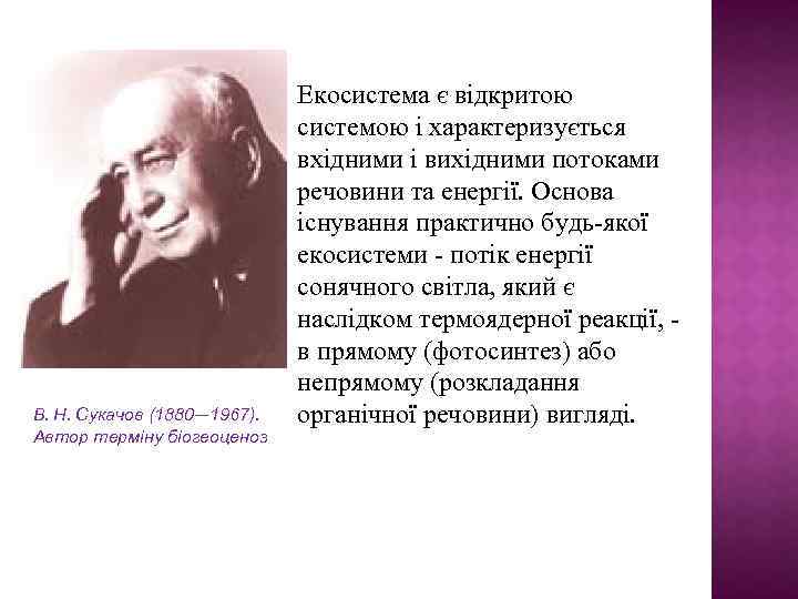 В. Н. Сукачов (1880— 1967). Автор терміну біогеоценоз Екосистема є відкритою системою і характеризується