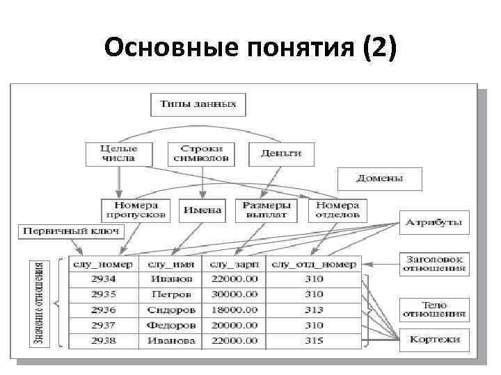 Основные понятия (2) 