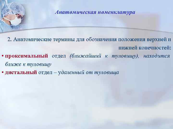 Анатомическая номенклатура 2. Анатомические термины для обозначения положения верхней и нижней конечностей: • проксимальный