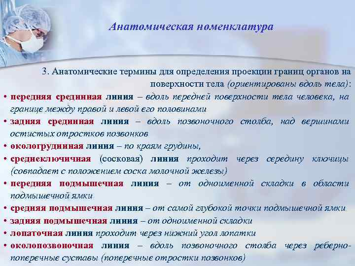 Анатомическая номенклатура • • • 3. Анатомические термины для определения проекции границ органов на