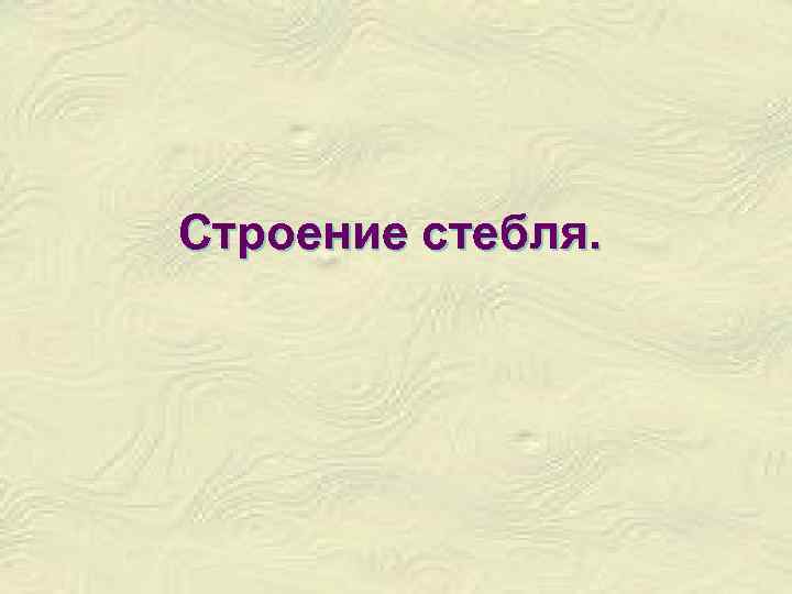 Строение стебля. 