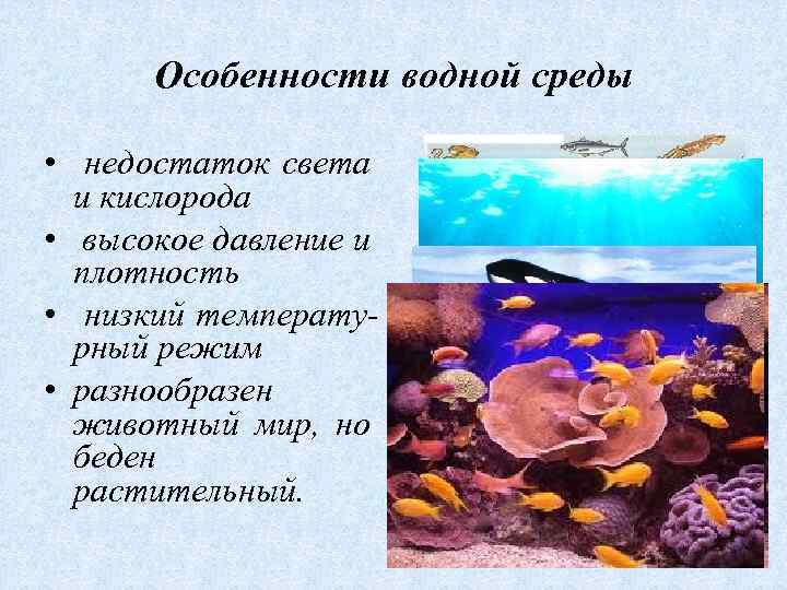 Водное сообщение. Организмы обитающие в водной среде. Особенности водной среды обитания. Характеристика водной среды.