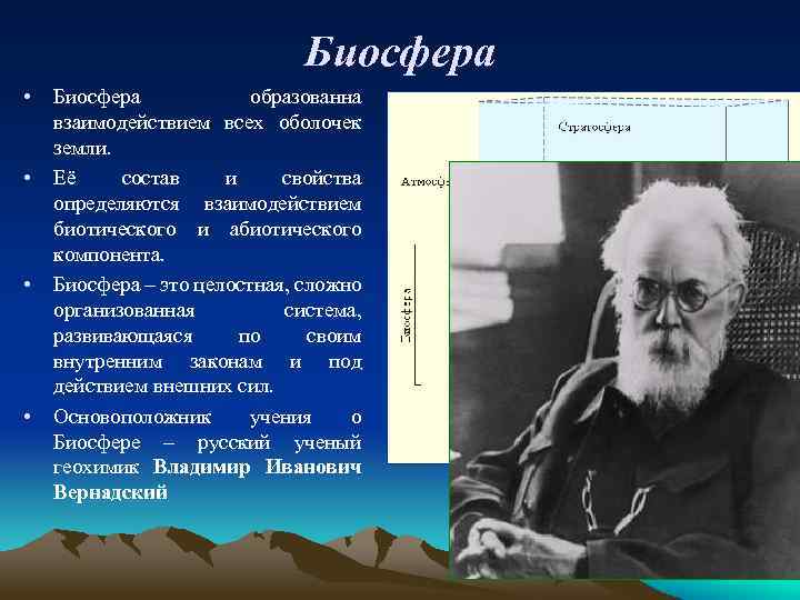 Биосфера жизни человека. Среды биосферы. Жизненные среды биосферы. Биосфера как среда жизни. Докажите что Биосфера естественная среда жизни человека.