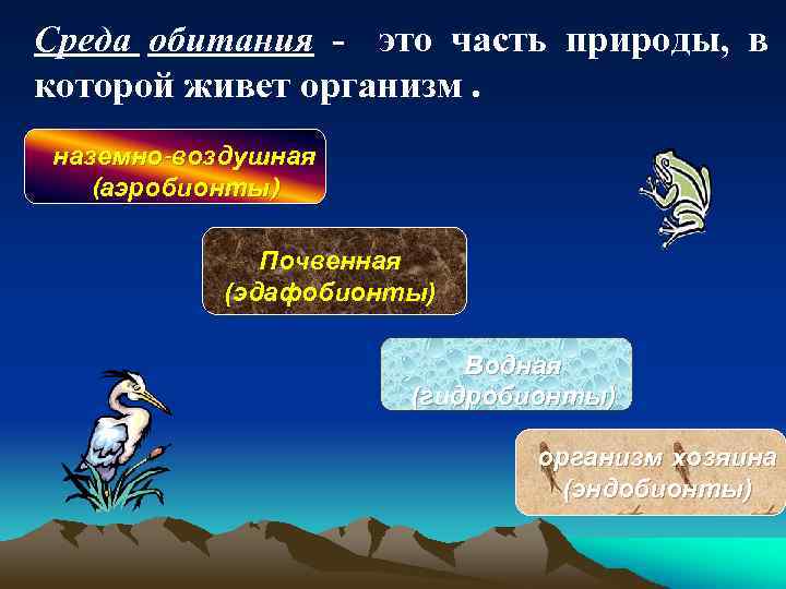 Среда обитания - это часть природы, в которой живет организм. наземно-воздушная (аэробионты) Почвенная (эдафобионты)