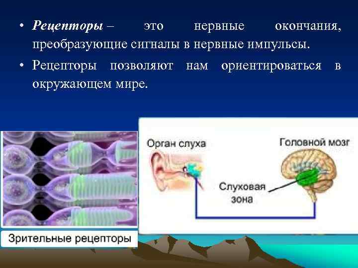 На каком уровне функционируют медиашлюзы преобразующие базовые потоки voip в телефонный формат tdm