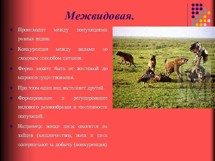 Межвидовая борьба за существование примеры таблица. Межвидовая борьба за территорию. Межвидовая борьба примеры. Межвидовая борьба между растениями. Межвидовая борьба конкуренция примеры.