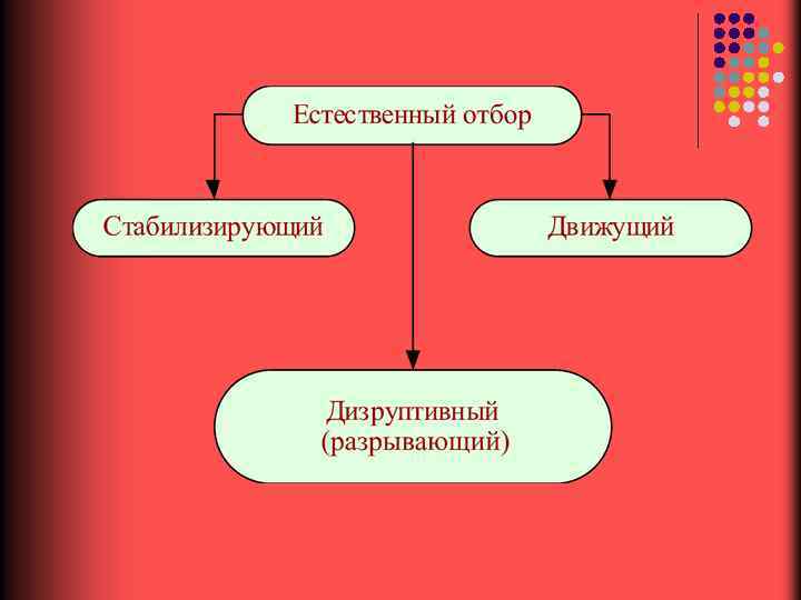 Естественный отбор борьба