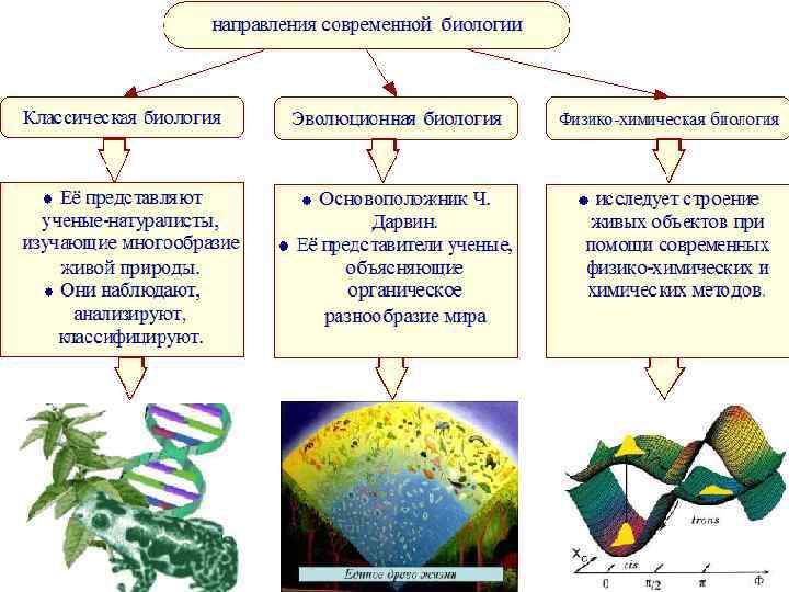 Биология признаки живой природы