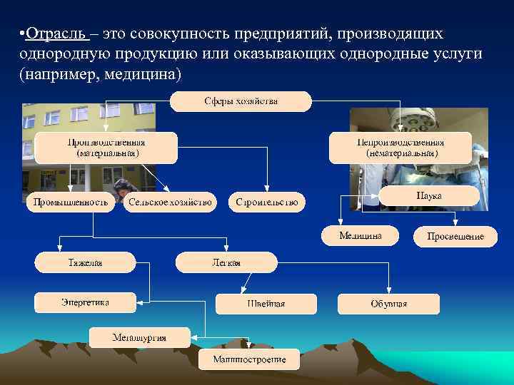  • Отрасль – это совокупность предприятий, производящих однородную продукцию или оказывающих однородные услуги