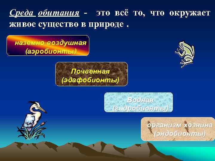 Среда обитания - это всё то, что окружает живое существо в природе. наземно-воздушная (аэробионты)