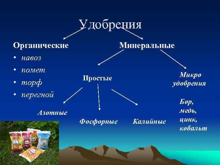 Удобрения Органические • навоз • помет • торф • перегной Минеральные Микро удобрения Простые