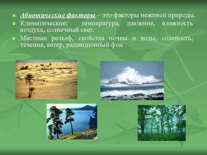 Абиотическая природа. Климатические абиотические факторы. Абиотические факторы рельеф. Местные абиотические факторы. Абиотические факторы ветер.